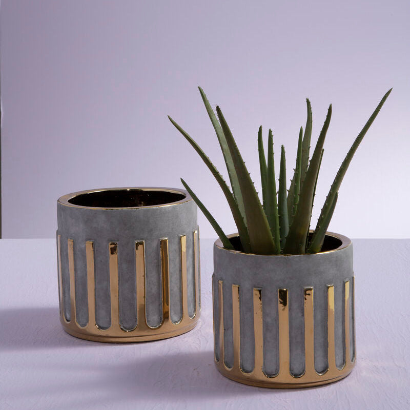 Two concrete planters with a plant on a light gray background
