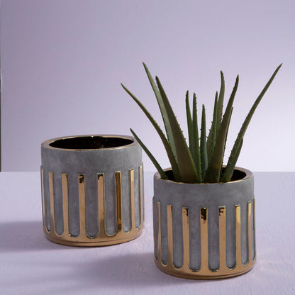 Two concrete planters with a plant on a light gray background
