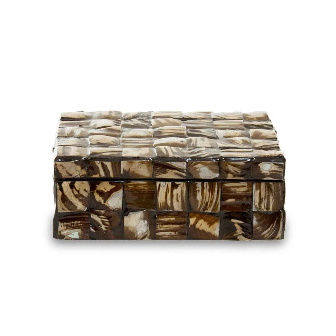 Branna Small Natural Shell Detail Box