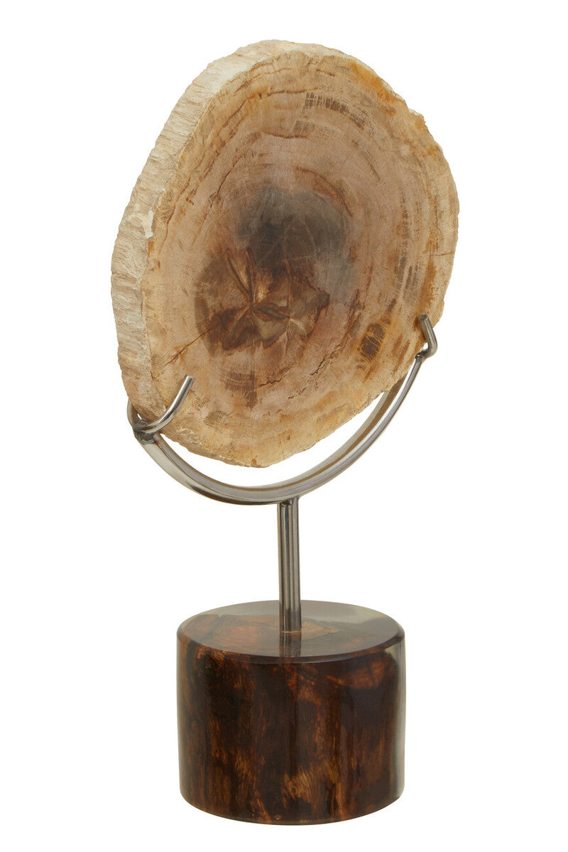 Relic Petrified Wood Sculpture