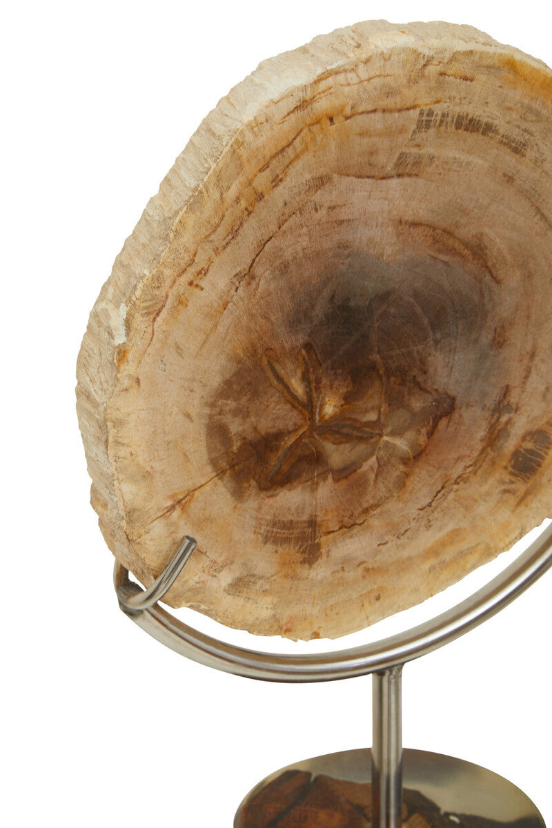 Relic Petrified Wood Sculpture