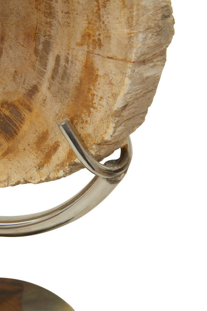 Relic Petrified Wood Sculpture