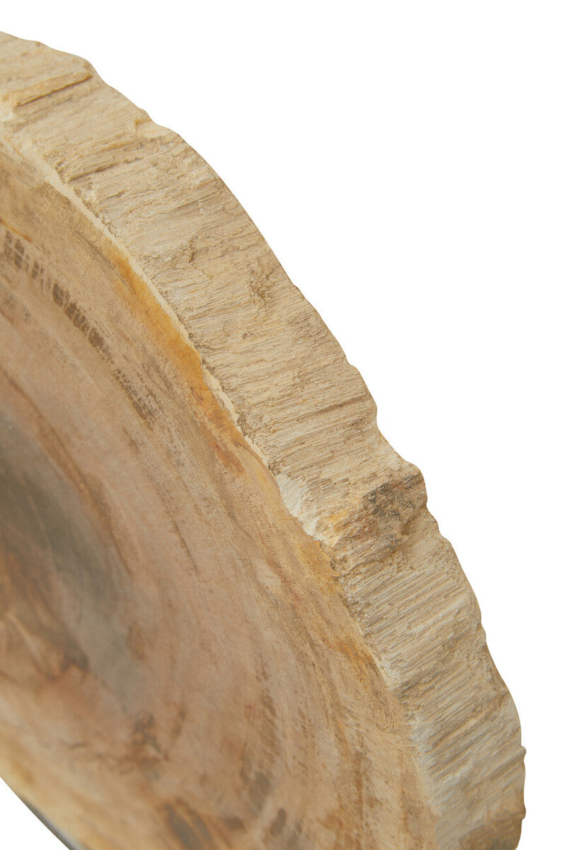 Relic Petrified Wood Sculpture