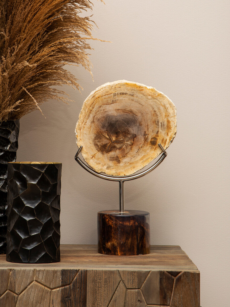 Relic Petrified Wood Sculpture