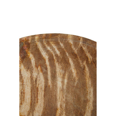 Relic Petrified Wood Small Bowl