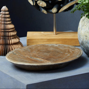 Petrified Wood Large Bowl | Relic