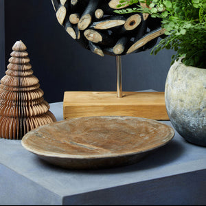 Relic Petrified Wood Large Bowl