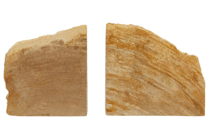 Relic Set of 2 Petrified Wood Natural Bookends