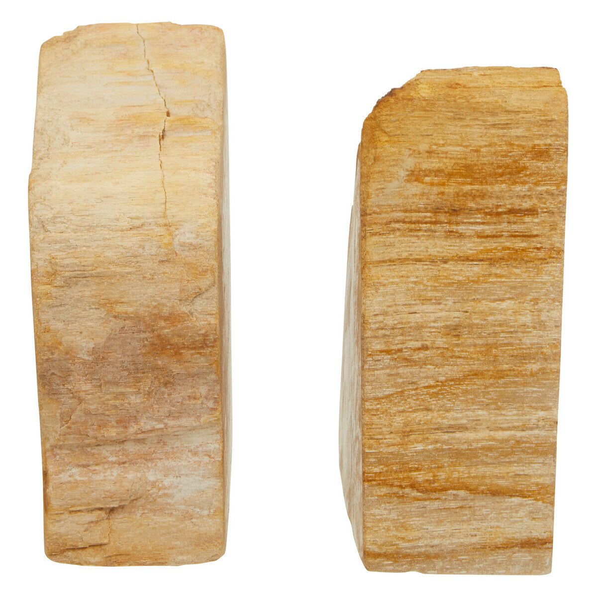 Relic Set of 2 Petrified Wood Natural Bookends