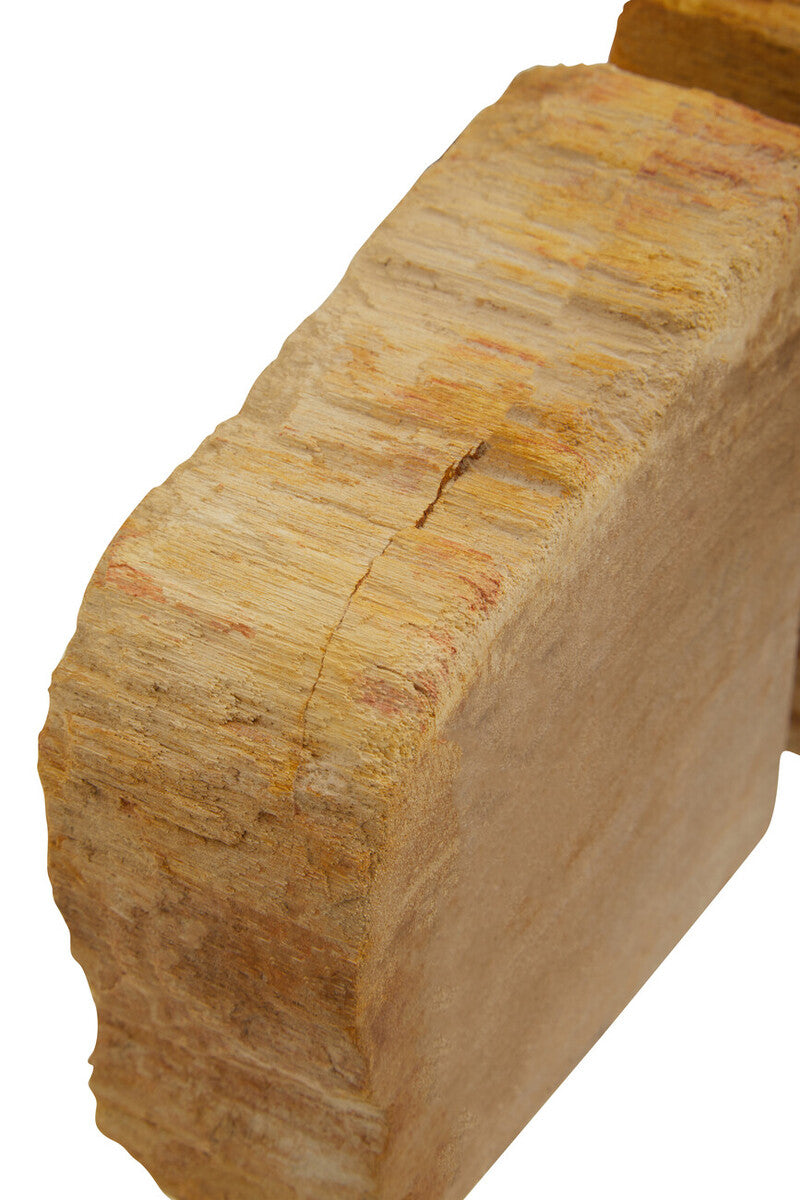 Relic Set of 2 Petrified Wood Natural Bookends