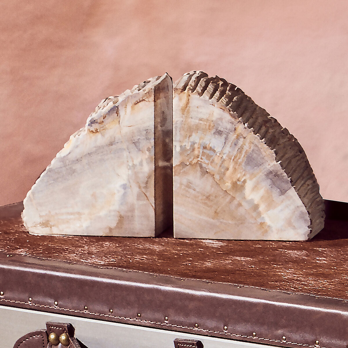 Relic Set of 2 Petrified Wood Natural Bookends