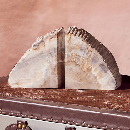 Relic Set of 2 Petrified Wood Natural Bookends
