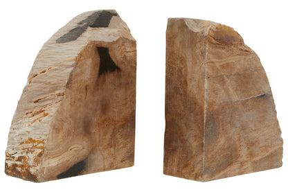 Relic Set Of 2 Petrified Wood Bookends