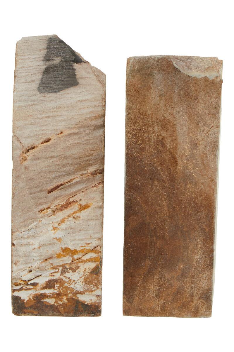 Relic Set Of 2 Petrified Wood Bookends