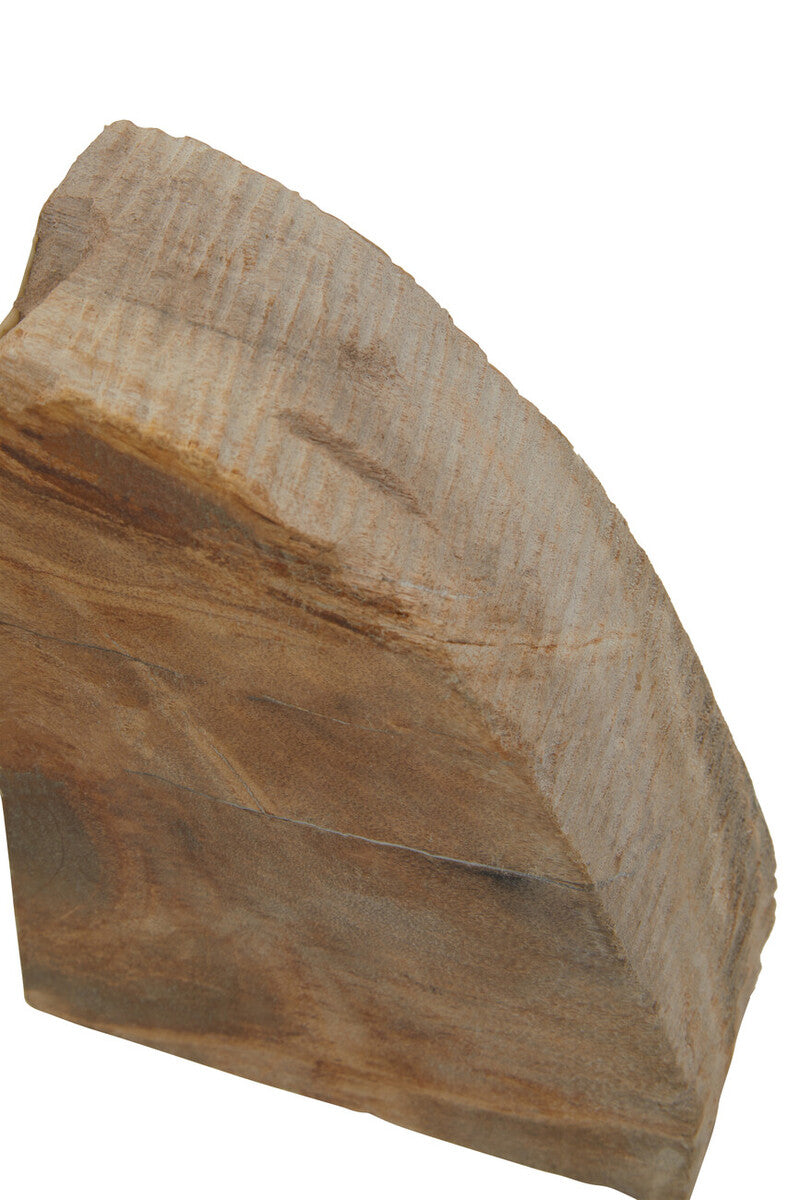 Relic Set Of 2 Petrified Wood Bookends