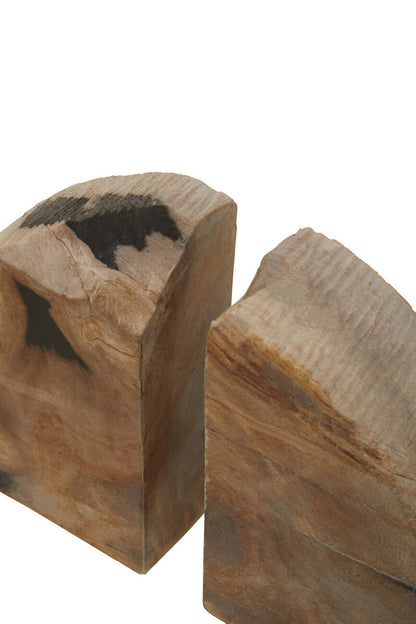 Relic Set Of 2 Petrified Wood Bookends