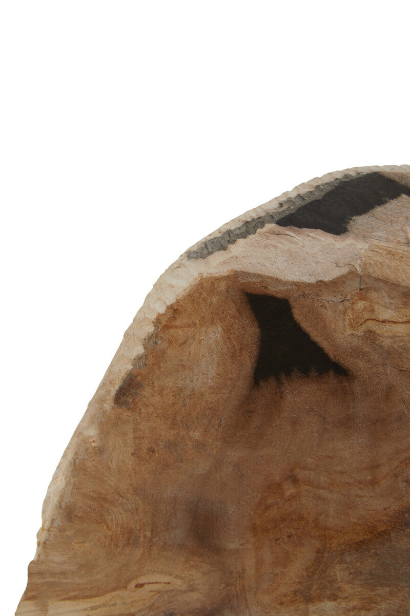 Relic Set Of 2 Petrified Wood Bookends