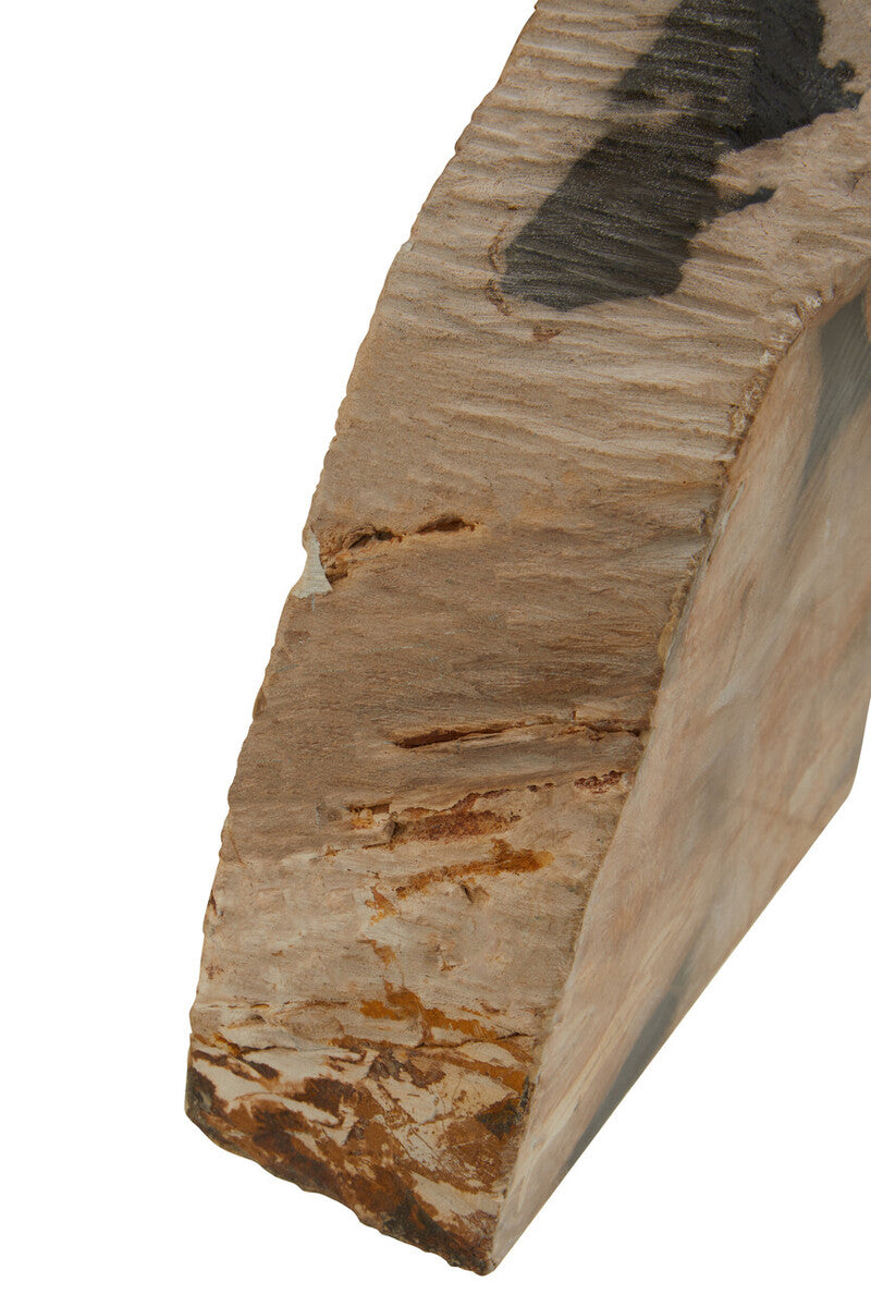 Relic Set Of 2 Petrified Wood Bookends