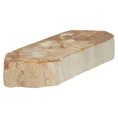 Relic Petrified Wood 3 Tealight Holder