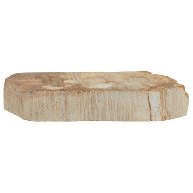 Relic Petrified Wood 3 Tealight Holder