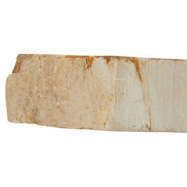 Relic Petrified Wood 3 Tealight Holder