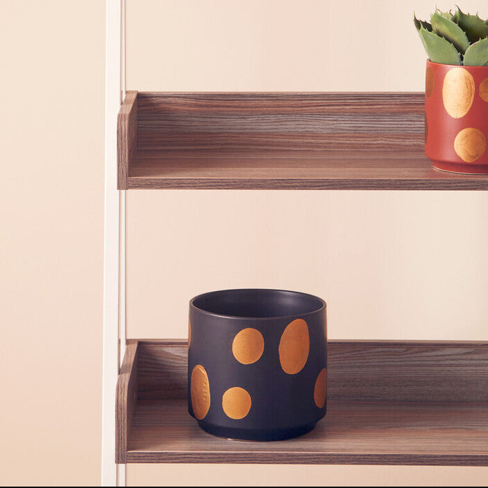 Wooden shelves with polka dot planters on a beige background