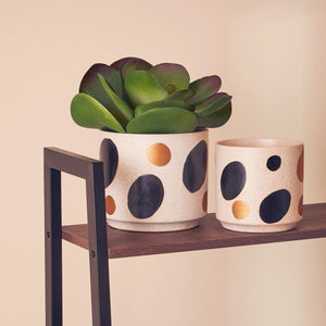White and Gold Spotted Planter | Yuri