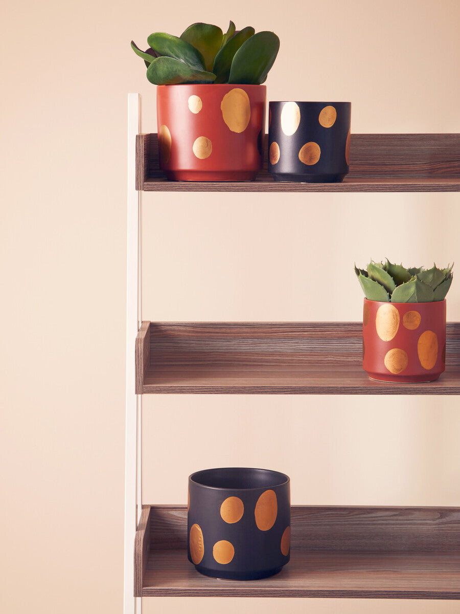 Yuri Small Terracotta Gold Spotted Planter
