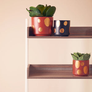 Large Terracotta Gold Spotted Planter | Yuri