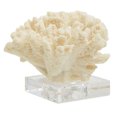 Boho Large White Coral