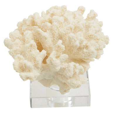 Boho Large White Coral