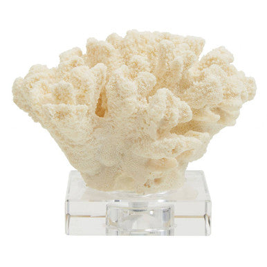 Boho Large White Coral Decor - Image 10