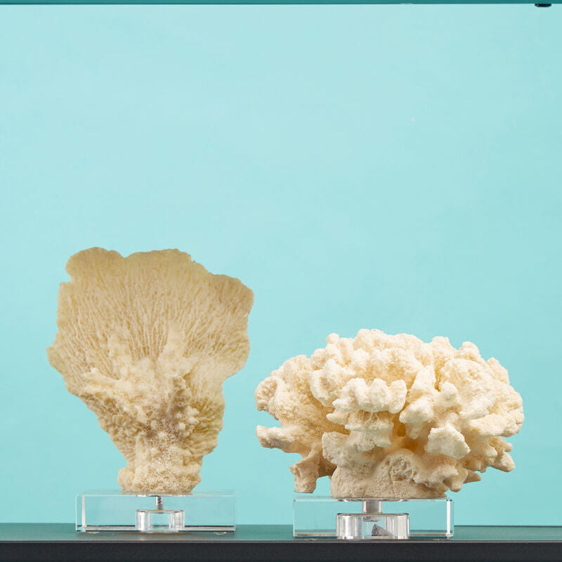 Boho Large White Coral Decor