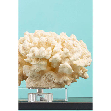 Boho Large White Coral Decor - Image 3