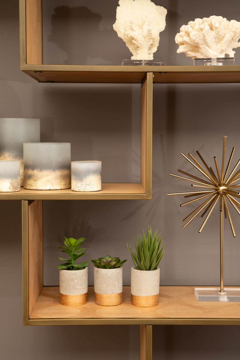 Boho Large White Coral Decor - Image 4