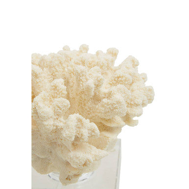 Boho Large White Coral Decor - Image 8