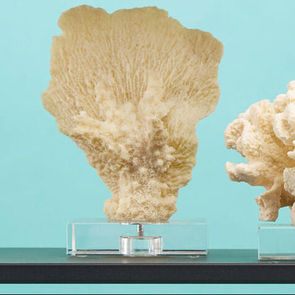 Boho Small White Coral Decor