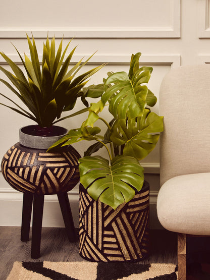 Two potted plants in decorative pots on a wooden floor with a beige wall in the background.