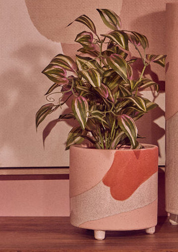 Decorative vases with abstract patterns on a wooden cabinet against a pink wall.