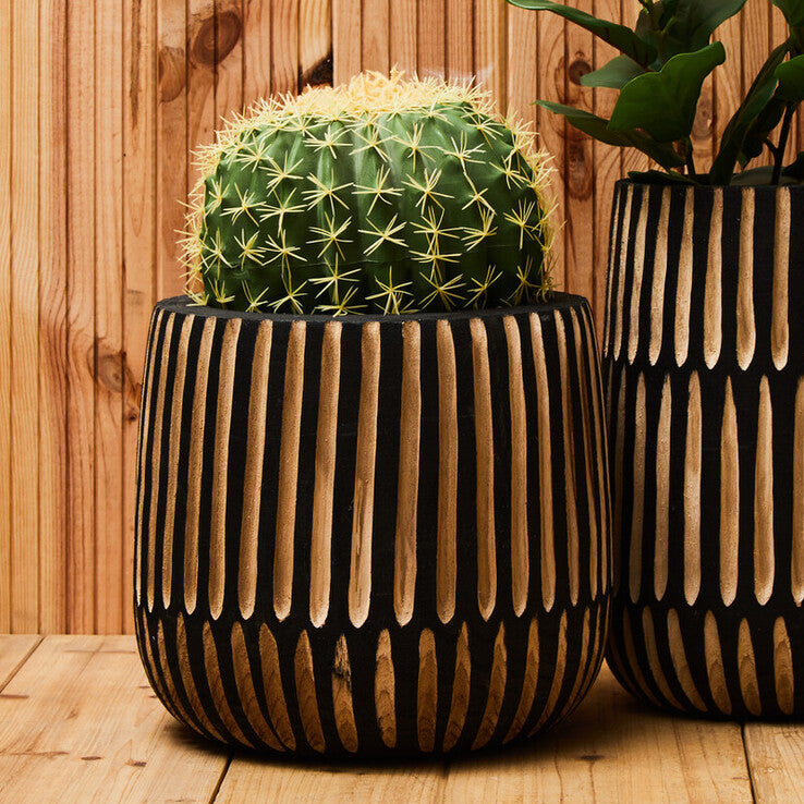 Two decorative planters with a cactus and a leafy plant against a wooden wall.