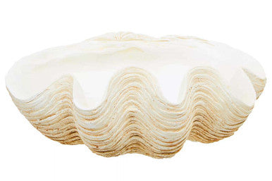 Byron Large Clam Shell Bowl