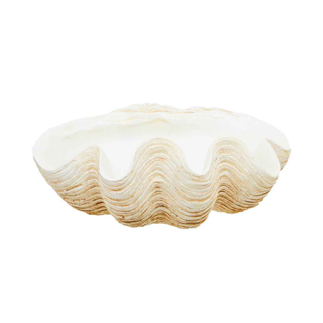 Byron Large Clam Shell Bowl