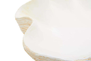 Byron Large Clam Shell Bowl - Image 6