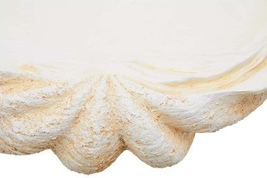 Byron Large Clam Shell Bowl - Image 7