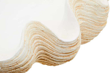 Byron Large Clam Shell Bowl - Image 8