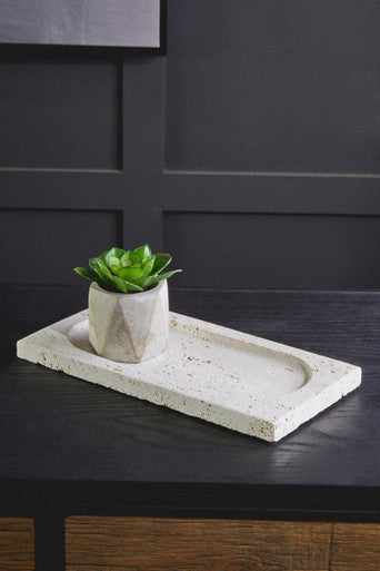 Cement tray with a small potted plant on a dark surface