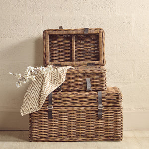 Argento Brown Rattan Storage Trunks- set of 2