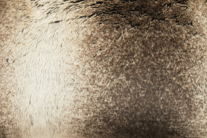 Bosie Lamina Mocha Ombre Rectangular Fur Cushion