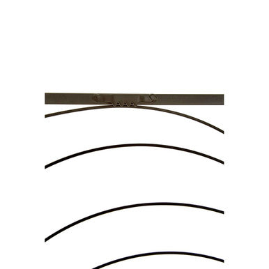 Trento Small Black Metal Frame Leaf Design Wall Art