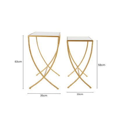 Set of 2 Mirrored Glass Top Rectangular Side Tables with Gold Metal Frame, Avantis